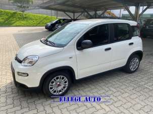 FIAT Panda Elettrica/Benzina usata, Italia