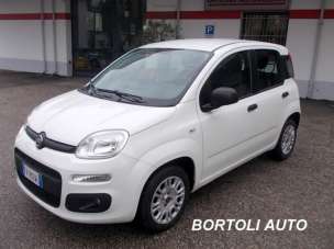 FIAT Panda Benzina 2019 usata, Modena