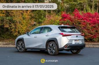 LEXUS UX Full Electric Elettrica/Benzina usata