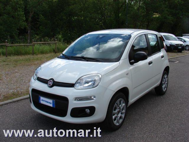 FIAT Panda Benzina/Metano 2017 usata, Grosseto foto