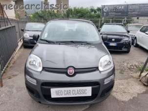 FIAT Panda Elettrica/Benzina 2022 usata, Napoli