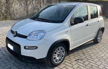 FIAT Panda Elettrica/Benzina 2024 usata, Firenze