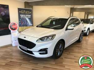 FORD Kuga Diesel 2020 usata, Catania