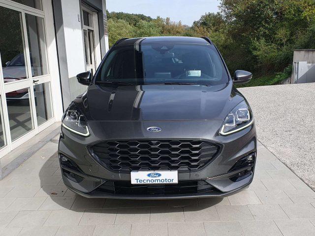 FORD Kuga Elettrica/Benzina 2022 usata, Avellino foto