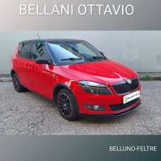 SKODA Fabia Diesel 2014 usata