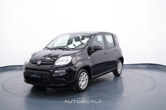 FIAT New Panda Elettrica/Benzina 2024 usata, Napoli foto