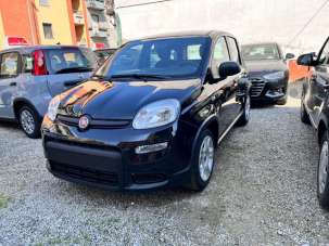 FIAT Panda Elettrica/Benzina 2024 usata, Novara