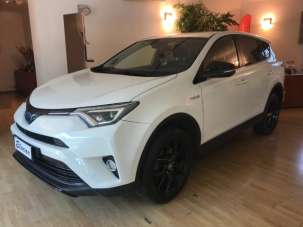 TOYOTA RAV 4 MY23 Elettrica/Benzina 2018 usata