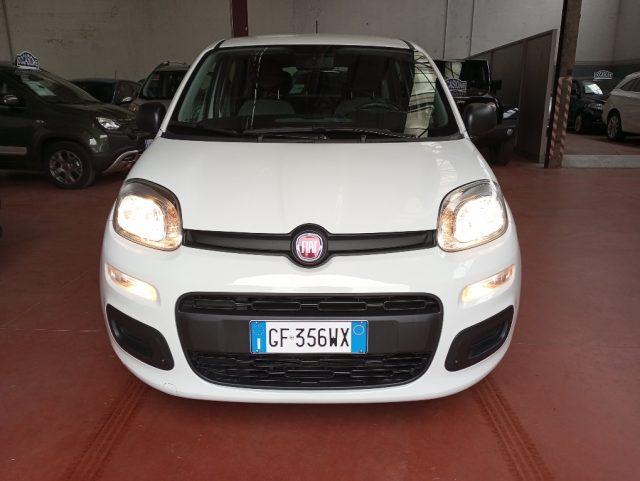 FIAT Panda Elettrica/Benzina 2021 usata foto