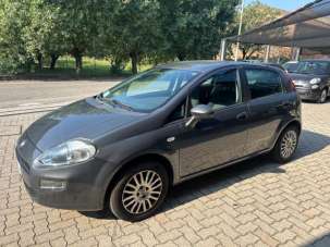 FIAT Punto Diesel 2014 usata, Reggio Nell'Emilia