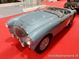 AUSTIN Healey Benzina 1954 usata, Pisa