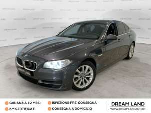 BMW 520 Diesel 2016 usata