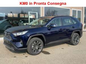 TOYOTA RAV 4 Elettrica/Benzina 2024 usata, Reggio Nell'Emilia