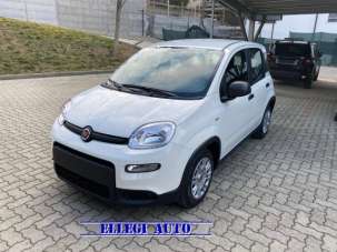 FIAT Panda Elettrica/Benzina usata, Italia