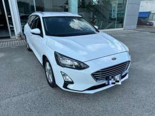 FORD Focus Diesel 2020 usata, Macerata