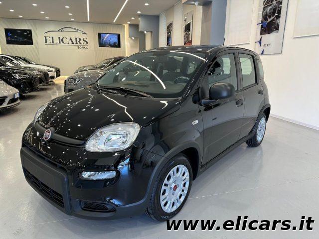 FIAT Panda Elettrica/Benzina 2023 usata foto