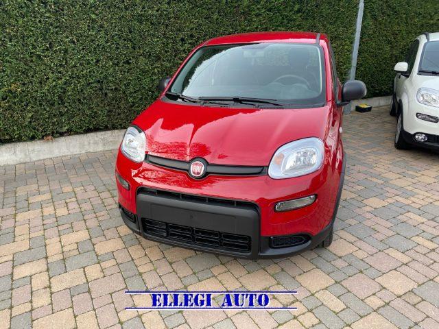 FIAT Panda Elettrica/Benzina usata, Italia foto