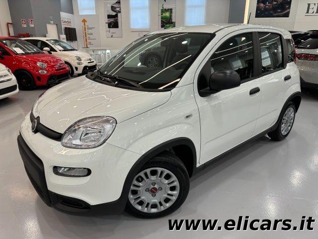 FIAT Panda Elettrica/Benzina 2023 usata foto