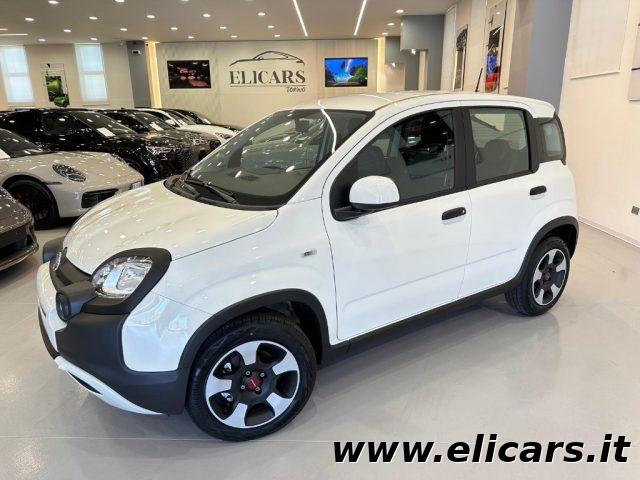 FIAT Panda Elettrica/Benzina 2023 usata foto