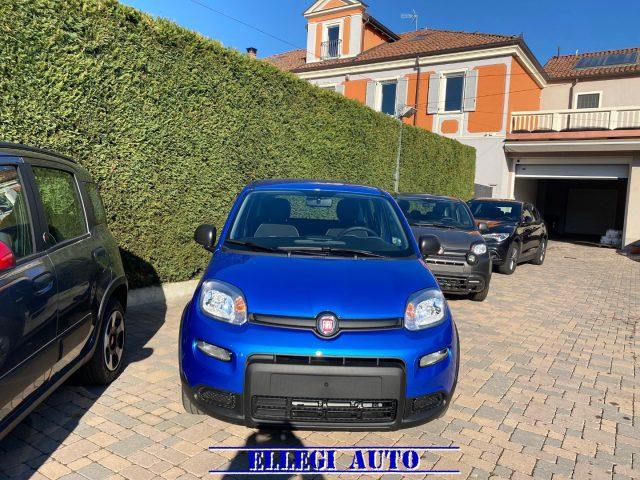 FIAT Panda Elettrica/Benzina usata, Italia foto