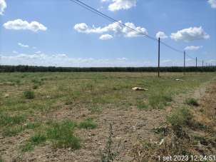 Vendita Terreno agricolo, Cerignola