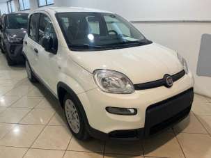 FIAT Panda Benzina 2024 usata, Napoli