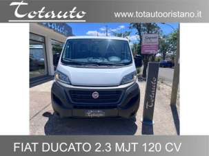 FIAT Ducato Diesel 2020 usata