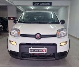 FIAT Panda Elettrica/Benzina usata, Cosenza