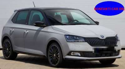 SKODA Fabia Benzina 2019 usata