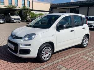 FIAT New Panda Benzina 2019 usata, Firenze