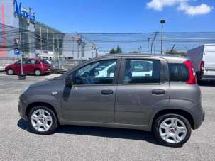 FIAT Panda Benzina/GPL 2020 usata