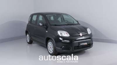 FIAT Panda Elettrica/Benzina 2024 usata