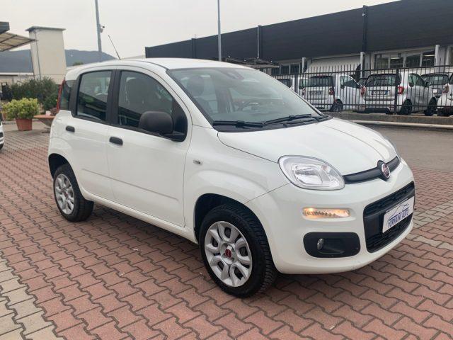 FIAT New Panda Benzina/Metano 2018 usata, Firenze foto