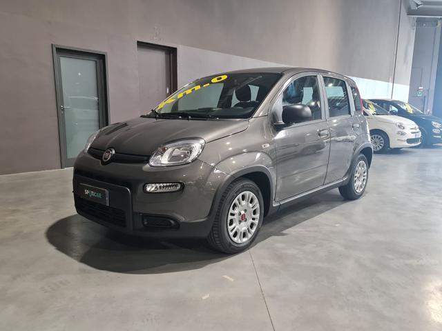 FIAT Panda Elettrica/Benzina 2023 usata foto