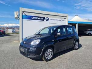 FIAT Panda Elettrica/Benzina 2024 usata