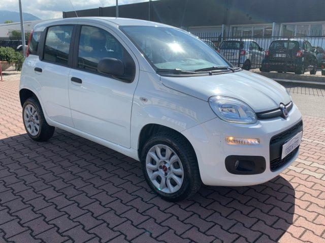 FIAT New Panda Benzina/Metano 2018 usata, Firenze foto