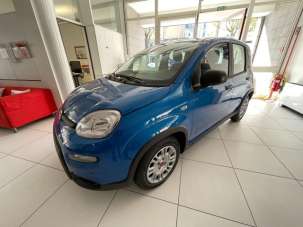 FIAT Panda Elettrica/Benzina 2024 usata