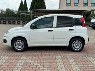 FIAT Panda Benzina/GPL 2019 usata, Firenze