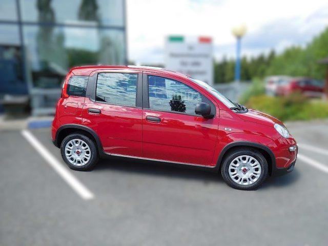 FIAT Panda Benzina 2023 usata foto