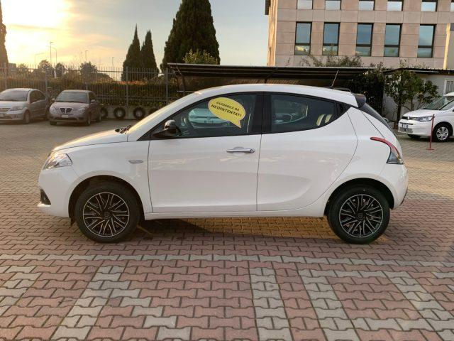 LANCIA Ypsilon Elettrica/Benzina 2023 usata, Firenze foto