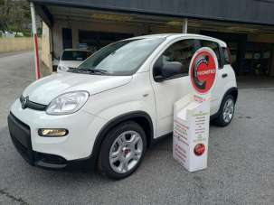 FIAT Panda Elettrica/Benzina 2023 usata, Genova