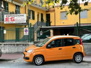 FIAT Panda Benzina 2020 usata