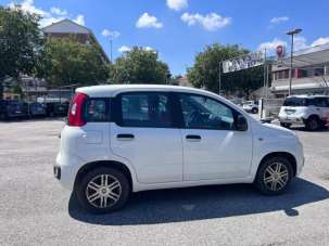 FIAT Panda Benzina/GPL 2020 usata