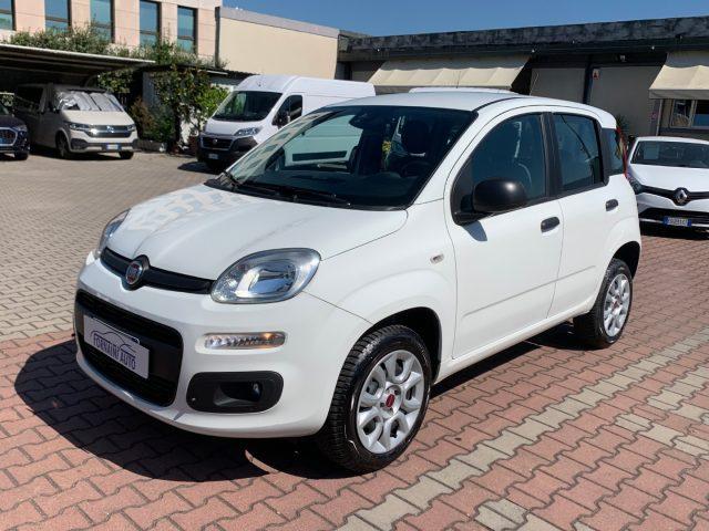 FIAT New Panda Benzina/Metano 2019 usata, Firenze foto