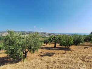 Vendita Terreno, Colonnella