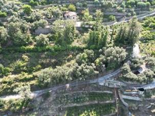 Vendita Multivani, Bordighera