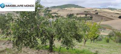 Vendita Terreno, Castelbottaccio