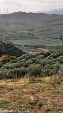 Vendita Terreno Agricolo, Soveria Simeri