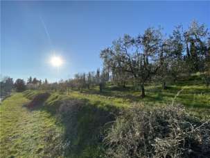 Vendita TERRENO AGRICOLO, Scandicci