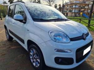 FIAT Panda Diesel 2016 usata, Ascoli Piceno